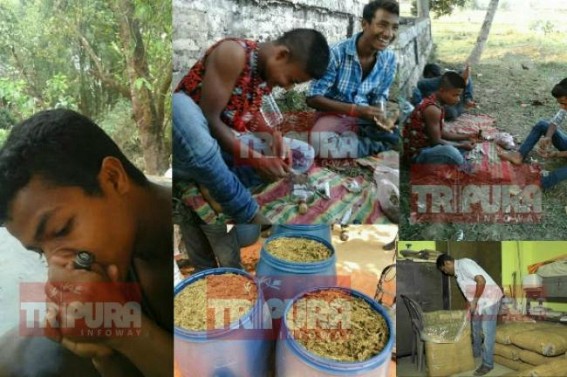 Intoxicated Tripura  : Massive Ganja, Drug, Chorex, business remained unchecked at Dharmanagar Botorashi area
